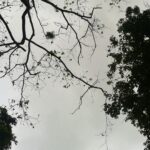 Ranchi to Netarhat Distance