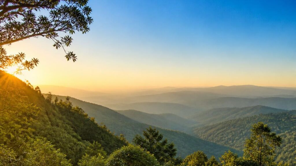 Best Time to Visit Netarhat
