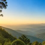Best Time to Visit Netarhat